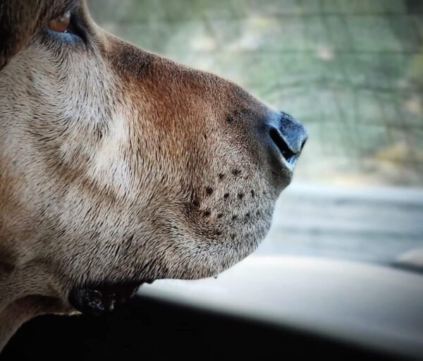 321856577_493300442905108_356549211785204675_n