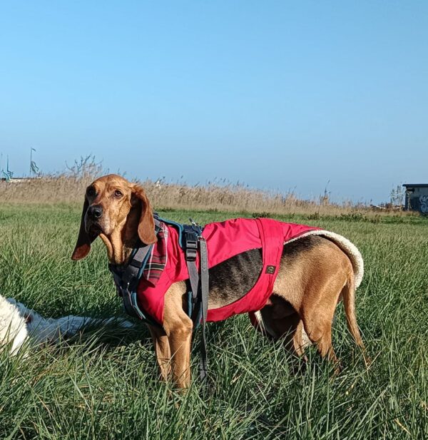 324714618_1529171674231877_1297269885744671194_n