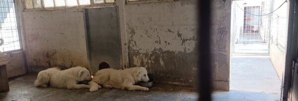 325920407_552313996826421_5633812137220716194_n