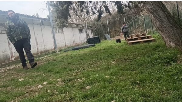 326894046_867329767940242_7579773229159549624_n