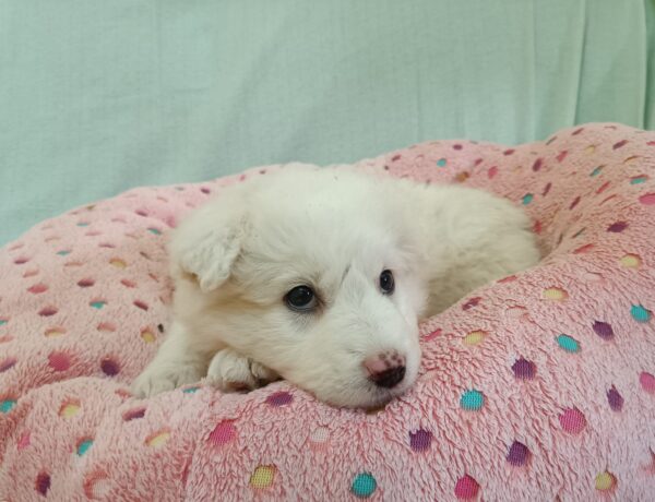 329528058_875910910299314_2073728200075769607_n