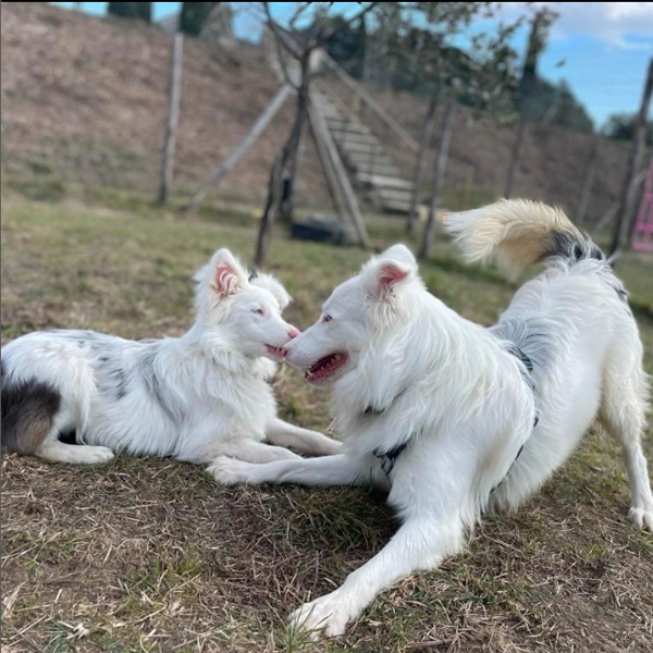 Schermata 2023-02-14 alle 14.54.48